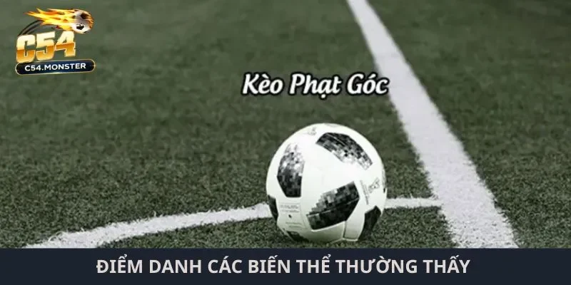 Điểm danh các biến thể thường thấy 
